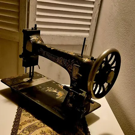 Le Di Domenico, Azalea *