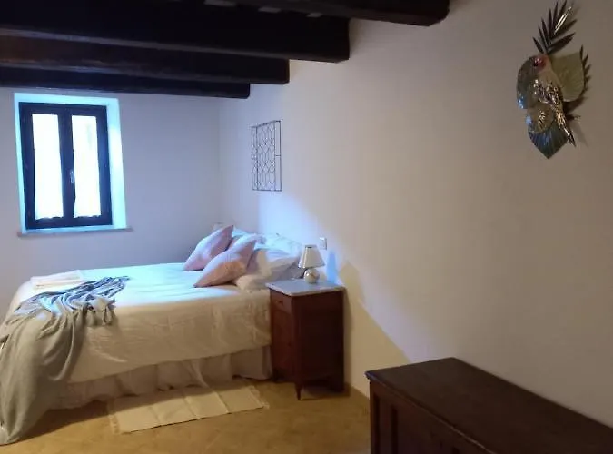 Le Di Domenico, Azalea Nocera Umbra